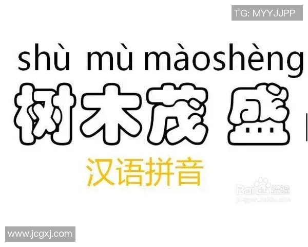 踢足球的拼音学习与应用技巧分享让你轻松掌握足球相关词汇